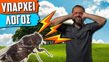 &Gamma;&iota;&alpha;&tau;ί &Tau;&alpha; &Tau;&zeta;&iota;&tau;&zeta;ί&kappa;&iota;&alpha; &Kappa;ά&nu;&omicron;&upsilon;&nu; &Tau;ό&sigma;&omicron; &Theta;ό&rho;&upsilon;&beta;&omicron;