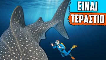 &Tau;&omicron; &Mu;&epsilon;&gamma;&alpha;&lambda;ύ&tau;&epsilon;&rho;&omicron; &Psi;ά&rho;&iota; &Pi;&omicron;&upsilon; &Upsilon;&pi;ά&rho;&chi;&epsilon;&iota; &Sigma;&tau;&eta; &Theta;ά&lambda;&alpha;&sigma;&sigma;&alpha;