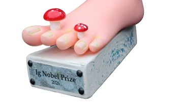 Ig Nobel 2026: &Omicron;&iota; &pi;&lambda;&omicron;ύ&sigma;&iota;&omicron;&iota; &kappa;&lambda;έ&beta;&omicron;&upsilon;&nu; &gamma;&lambda;&upsilon;&kappa;ά, &omicron;&iota; &Nu;&epsilon;ά&nu;&tau;&epsilon;&rho;&tau;&alpha;&lambda; &phi;&iota;&lambda;&omicron;ύ&sigma;&alpha;&nu; &kappa;&alpha;&iota; &omicron;&iota; &kappa;&alpha;&tau;&sigma;&alpha;&rho;ί&delta;&epsilon;&sigmaf; έ&chi;&omicron;&upsilon;&nu;&hellip; &gamma;ά&lambda;&alpha; &ndash; ertnews.gr