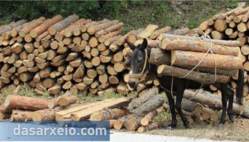 &Delta;&alpha;&sigma;&epsilon;&rho;&gamma;ά&tau;&epsilon;&sigmaf;: &Alpha;&kappa;&rho;&iota;&beta;ά &kappa;&alpha;ύ&sigma;&iota;&mu;&alpha;-&zeta;&omega;&omicron;&tau;&rho;&omicron;&phi;έ&sigmaf; &kappa;&alpha;&iota; &chi;&alpha;&mu;&eta;&lambda;ό &mu;&epsilon;&rho;&omicron;&kappa;ά&mu;&alpha;&tau;&omicron; &sigma;&beta;ή&nu;&omicron;&upsilon;&nu; &tau;&omicron;&nu; &kappa;&lambda;ά&delta;&omicron; &ndash; dasarxeio.com